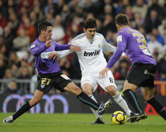 主导的放大 主导的放大